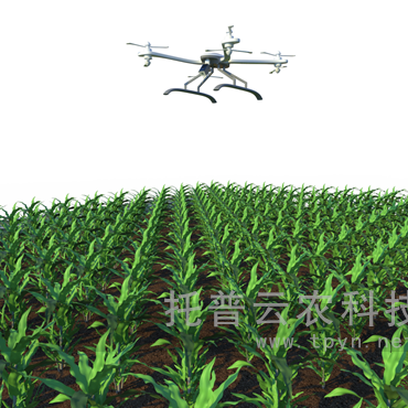田間無人機(jī)式高通量植物表型采集分析平臺